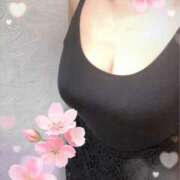 ヒメ日記 2025/04/15 16:15 投稿 まき 奥様さくら梅田店