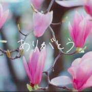 ヒメ日記 2025/01/04 19:46 投稿 スズ【FG系列】 デリぽちゃin柏（FG系列）