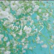 ヒメ日記 2025/01/05 00:30 投稿 スズ【FG系列】 デリぽちゃin柏（FG系列）