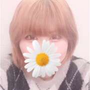 ヒメ日記 2026/03/19 11:53 投稿 スズ【FG系列】 デリぽちゃin柏（FG系列）