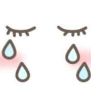 ヒメ日記 2025/02/01 01:25 投稿 スズ【FG系列】 デリぽちゃin松戸（FG系列）