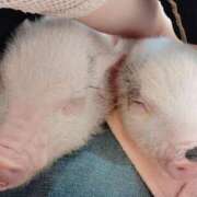 ヒメ日記 2025/06/28 01:58 投稿 スズ【FG系列】 デリぽちゃin松戸（FG系列）