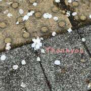 ヒメ日記 2025/04/11 00:55 投稿 なみ 丸の内