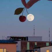 ヒメ日記 2025/05/30 10:35 投稿 なみ 丸の内