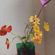 ヒメ日記 2025/06/12 11:45 投稿 なみ 丸の内