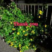 ヒメ日記 2025/09/29 00:45 投稿 なみ 丸の内