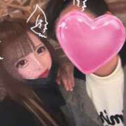 ヒメ日記 2025/02/20 17:37 投稿 NHひかり サマンサ(和歌山)