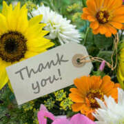 ヒメ日記 2025/06/15 19:00 投稿 ゆあ 奥鉄オクテツ和歌山