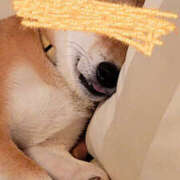 ヒメ日記 2024/12/09 20:35 投稿 しらゆり 奥鉄オクテツ和歌山