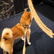 ヒメ日記 2025/01/10 22:30 投稿 しらゆり 奥鉄オクテツ和歌山