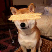 ヒメ日記 2025/02/04 21:41 投稿 しらゆり 奥鉄オクテツ和歌山