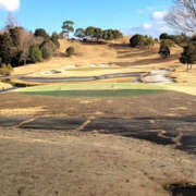 ヒメ日記 2025/02/11 21:09 投稿 しらゆり 奥鉄オクテツ和歌山