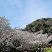 ヒメ日記 2025/03/30 13:33 投稿 しらゆり 奥鉄オクテツ和歌山