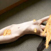 ヒメ日記 2025/05/06 12:31 投稿 しらゆり 奥鉄オクテツ和歌山