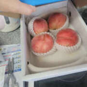 ヒメ日記 2025/07/19 08:18 投稿 しらゆり 奥鉄オクテツ和歌山