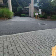 ヒメ日記 2025/08/01 06:54 投稿 しらゆり 奥鉄オクテツ和歌山