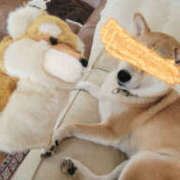 ヒメ日記 2025/08/08 11:46 投稿 しらゆり 奥鉄オクテツ和歌山