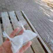 ヒメ日記 2025/09/01 08:15 投稿 しらゆり 奥鉄オクテツ和歌山