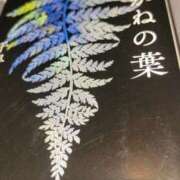 ヒメ日記 2025/09/18 08:40 投稿 しらゆり 奥鉄オクテツ和歌山
