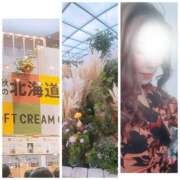 ヒメ日記 2025/10/04 15:42 投稿 しらゆり 奥鉄オクテツ和歌山