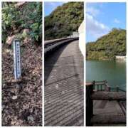 ヒメ日記 2025/11/10 10:47 投稿 しらゆり 奥鉄オクテツ和歌山