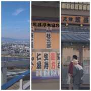 ヒメ日記 2025/11/23 16:54 投稿 しらゆり 奥鉄オクテツ和歌山