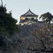 ヒメ日記 2025/12/01 17:08 投稿 しらゆり 奥鉄オクテツ和歌山