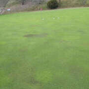 ヒメ日記 2025/12/04 13:49 投稿 しらゆり 奥鉄オクテツ和歌山