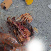 ヒメ日記 2025/12/31 15:27 投稿 しらゆり 奥鉄オクテツ和歌山