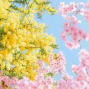 まや 4月だね♡ 成田人妻花壇