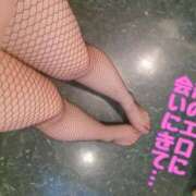 ヒメ日記 2025/12/15 12:30 投稿 なつき ギン妻パラダイス 堺東店