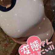ヒメ日記 2026/09/08 20:00 投稿 なつき ギン妻パラダイス 堺東店
