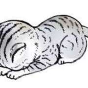 ヒメ日記 2025/02/03 21:56 投稿 ぱん 錦糸町サンキュー