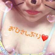 ヒメ日記 2026/03/24 16:47 投稿 さやか 鹿児島ちゃんこ 薩摩川内店