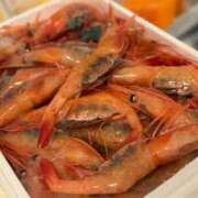 ヒメ日記 2025/12/04 13:48 投稿 佐伯あやめ-AYAME- Casual Rich 5（カジュアルリッチファイブ）