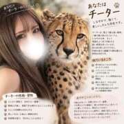 ヒメ日記 2026/09/13 08:10 投稿 佐伯あやめ-AYAME- Casual Rich 5（カジュアルリッチファイブ）