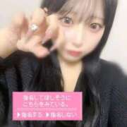 ヒメ日記 2025/11/12 12:05 投稿 つき 帯広アニバーサリー