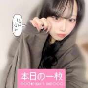 ヒメ日記 2025/11/21 12:14 投稿 つき 帯広アニバーサリー