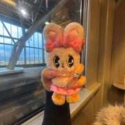 ヒメ日記 2026/01/16 15:27 投稿 つき 帯広アニバーサリー