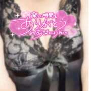 ヒメ日記 2025/02/16 02:15 投稿 はな 茨城神栖ちゃんこ