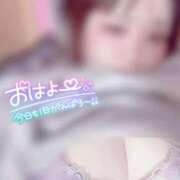 ヒメ日記 2025/03/23 06:30 投稿 はな 茨城神栖ちゃんこ