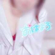 ヒメ日記 2025/04/27 07:01 投稿 はな 茨城神栖ちゃんこ