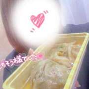 ヒメ日記 2025/06/14 14:12 投稿 はな 茨城神栖ちゃんこ