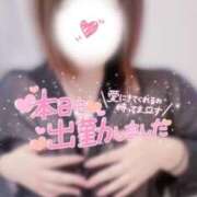 ヒメ日記 2025/08/16 13:01 投稿 はな 茨城神栖ちゃんこ