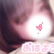 ヒメ日記 2025/09/28 09:22 投稿 はな 茨城神栖ちゃんこ