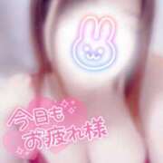 ヒメ日記 2025/12/11 20:26 投稿 はな 茨城神栖ちゃんこ