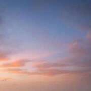 ヒメ日記 2025/03/07 09:30 投稿 ひとみ ナイスレディ