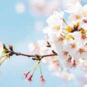 ヒメ日記 2025/03/11 09:02 投稿 ひとみ ナイスレディ