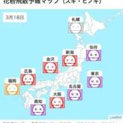 ヒメ日記 2025/03/18 18:02 投稿 ひとみ ナイスレディ