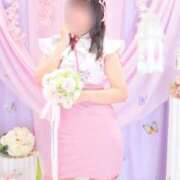 ヒメ日記 2025/04/26 14:12 投稿 ひとみ ナイスレディ